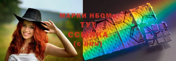 крисы Медногорск