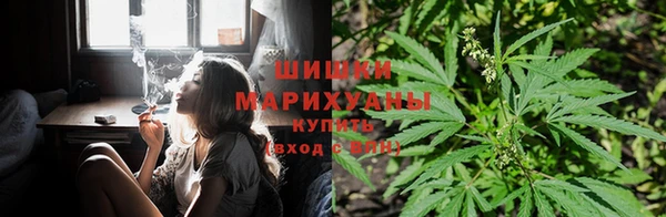крисы Медногорск
