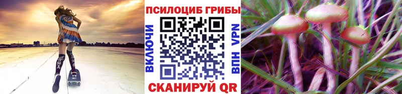 наркошоп  Троицк  Псилоцибиновые грибы ЛСД 