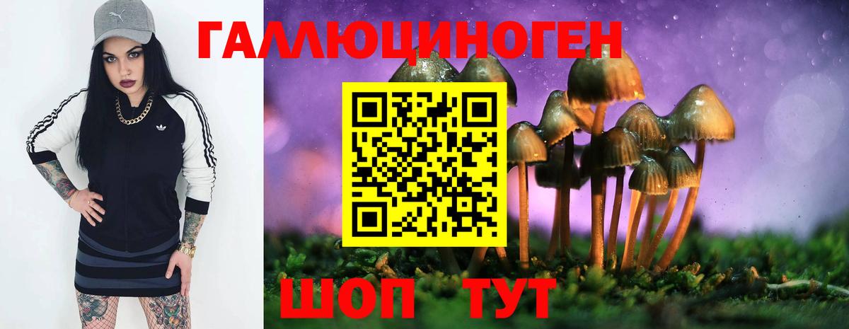 Троицк  Галлюциногенные грибы MAGIC MUSHROOMS  где продают наркотики  Вход с VPN  Галлюциногенные грибы MAGIC MUSHROOMS 